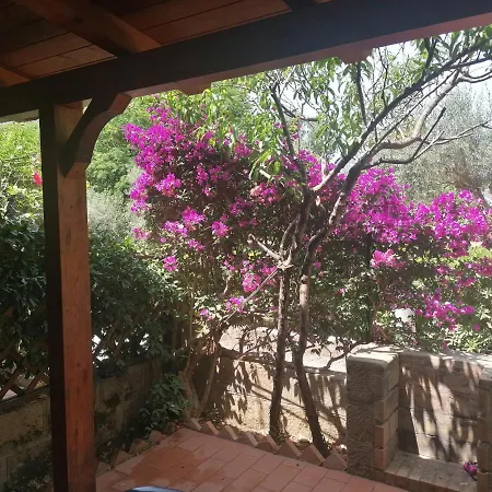 Daire Casa Vacanza In Villaggio Casa dello Stumio